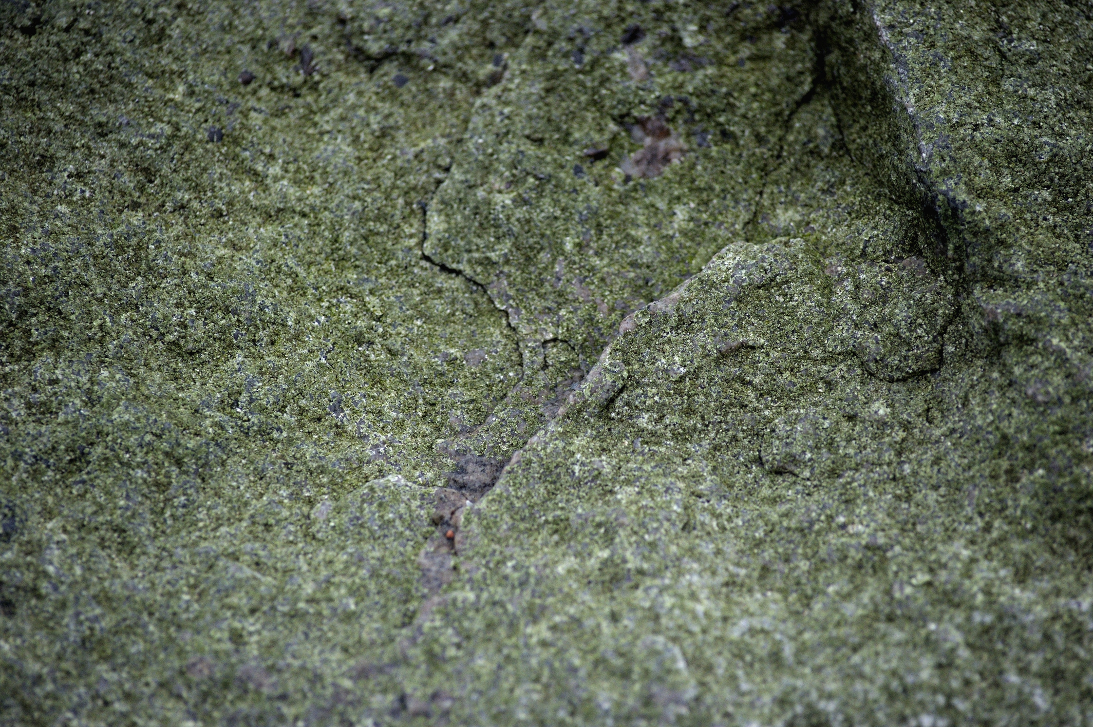 Stone, Texture, Natural
